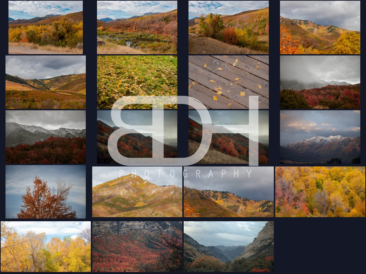BDH Fall Wallpapers – Complete Pack preview