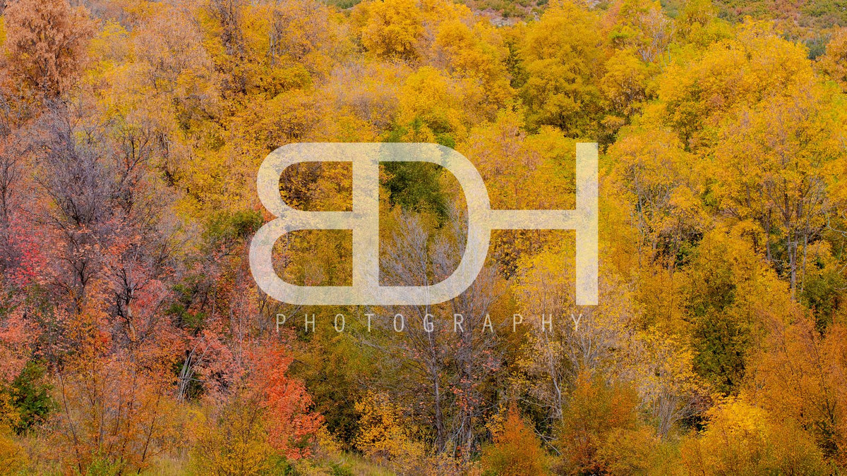 BDH Fall Wallpaper 16 – Cascade Springs preview