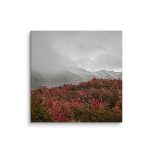 Crimson moody red fall canyon canvas print — BDH Photography