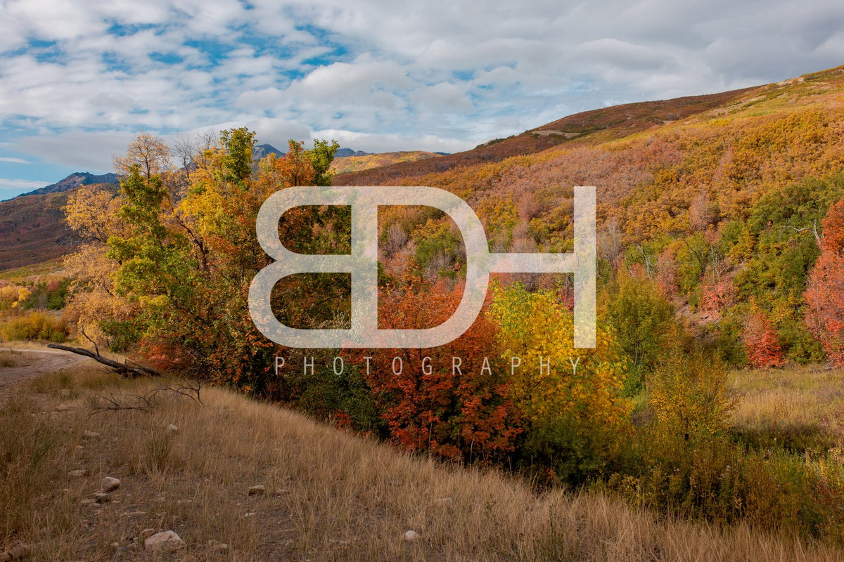 BDH Fall Wallpaper 03 – Cascade Springs preview