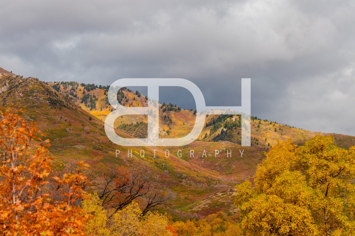 BDH Fall Wallpaper 04 – Cascade Springs preview