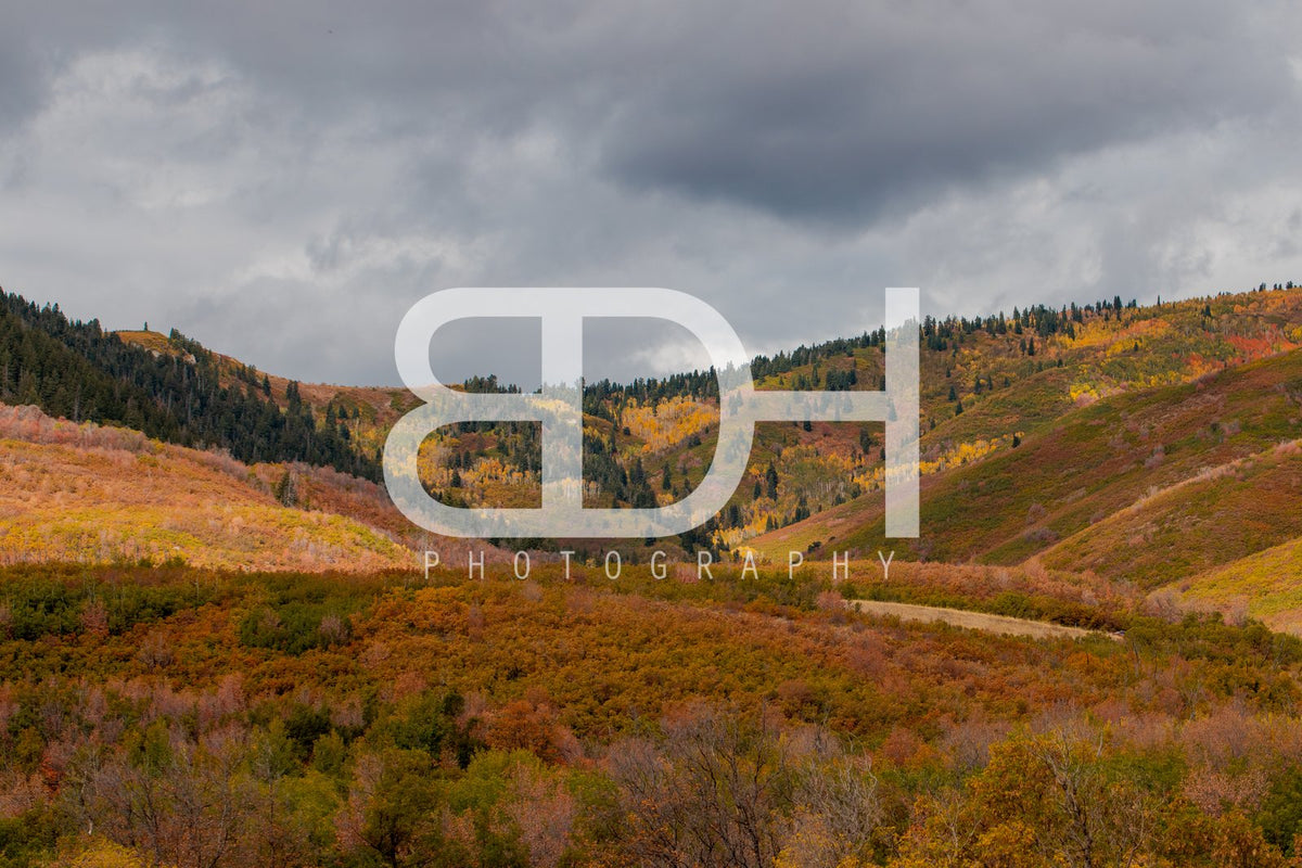 BDH Fall Wallpaper 05 – Cascade Springs preview