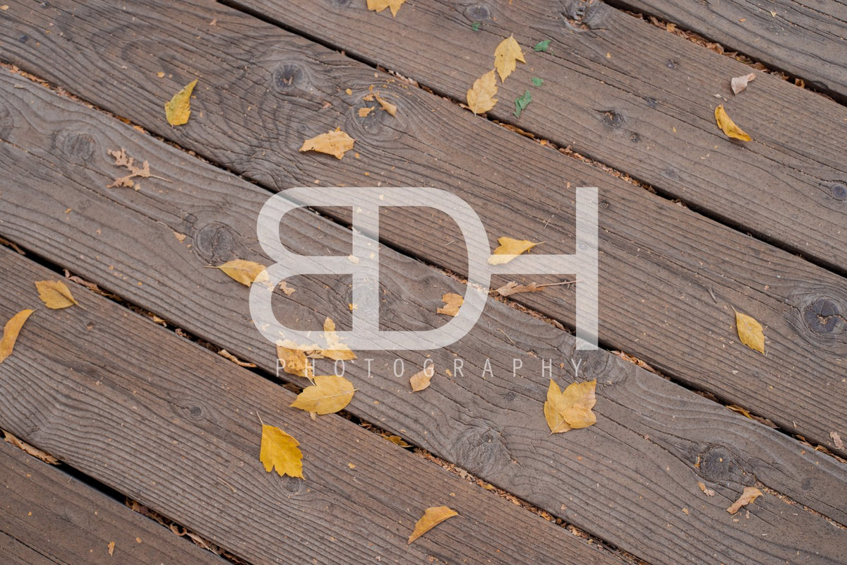 BDH Fall Wallpaper 07 – Cascade Springs preview