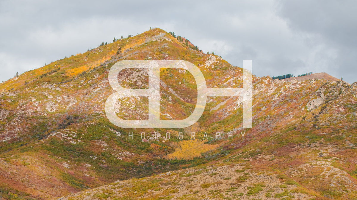 BDH Fall Wallpaper 14 – Cascade Springs preview