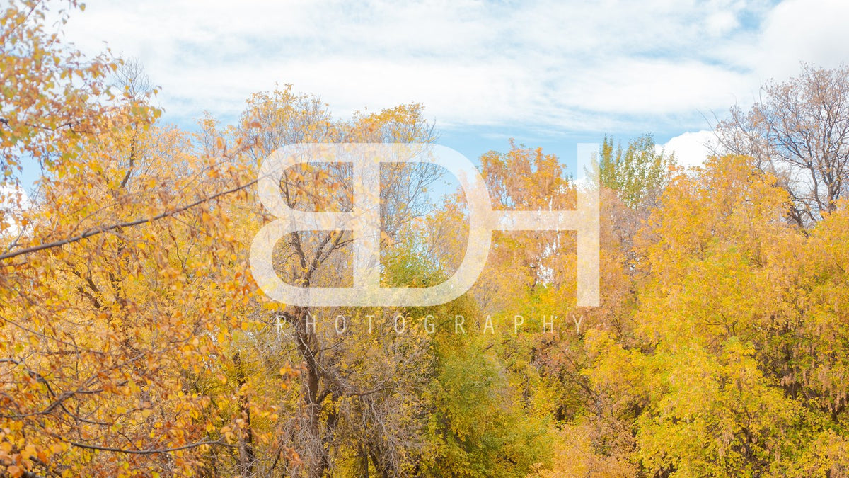 BDH Fall Wallpaper 17 – Cascade Springs preview