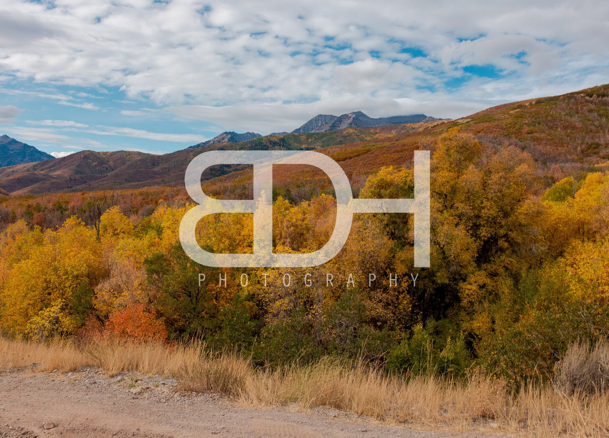 BDH Fall Wallpaper 01 – Cascade Springs (watermarked preview)