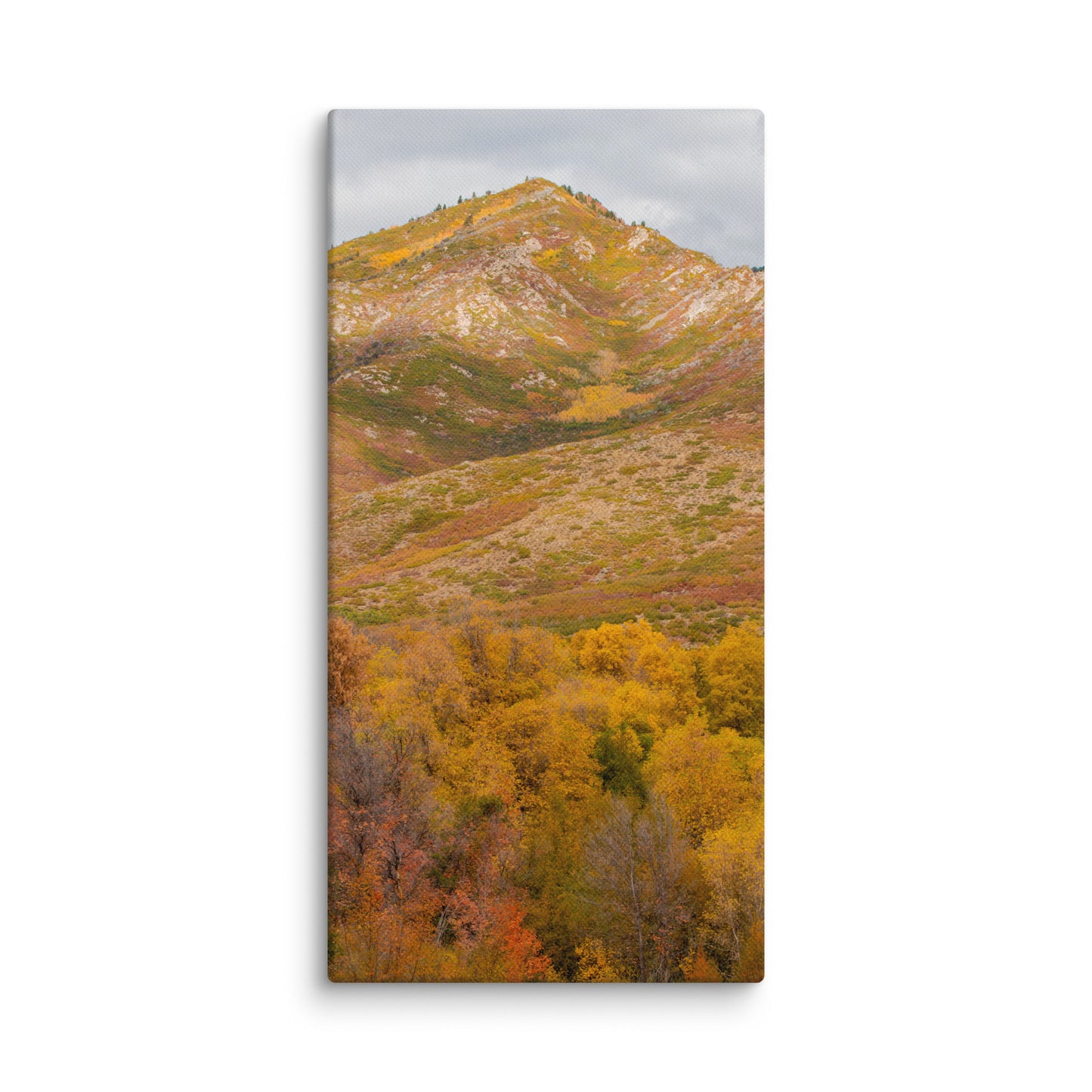 Burning Mountain fall foliage canvas print — BDH Photography