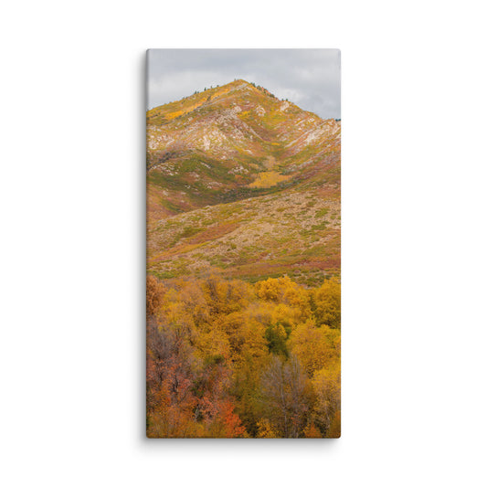 Burning Mountain fall foliage canvas print — BDH Photography