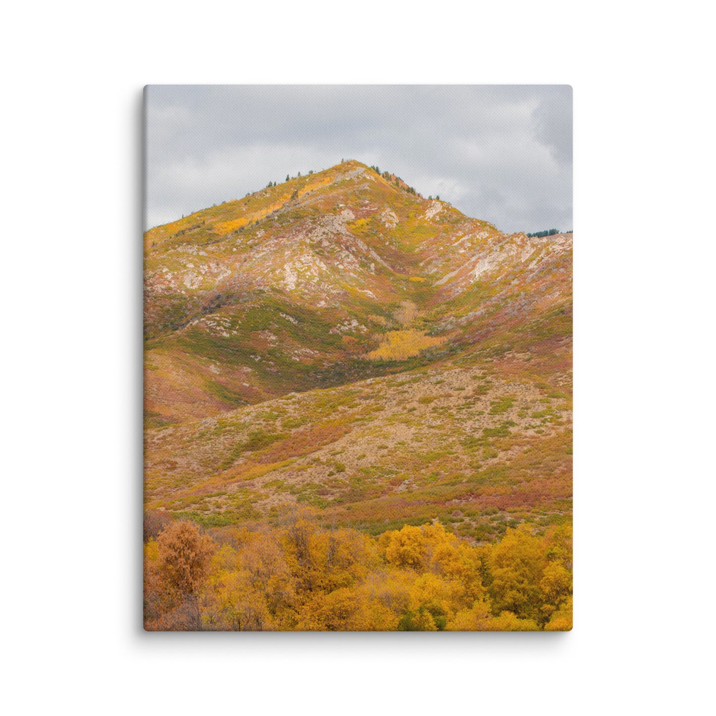 Burning Mountain fall foliage canvas print — BDH Photography