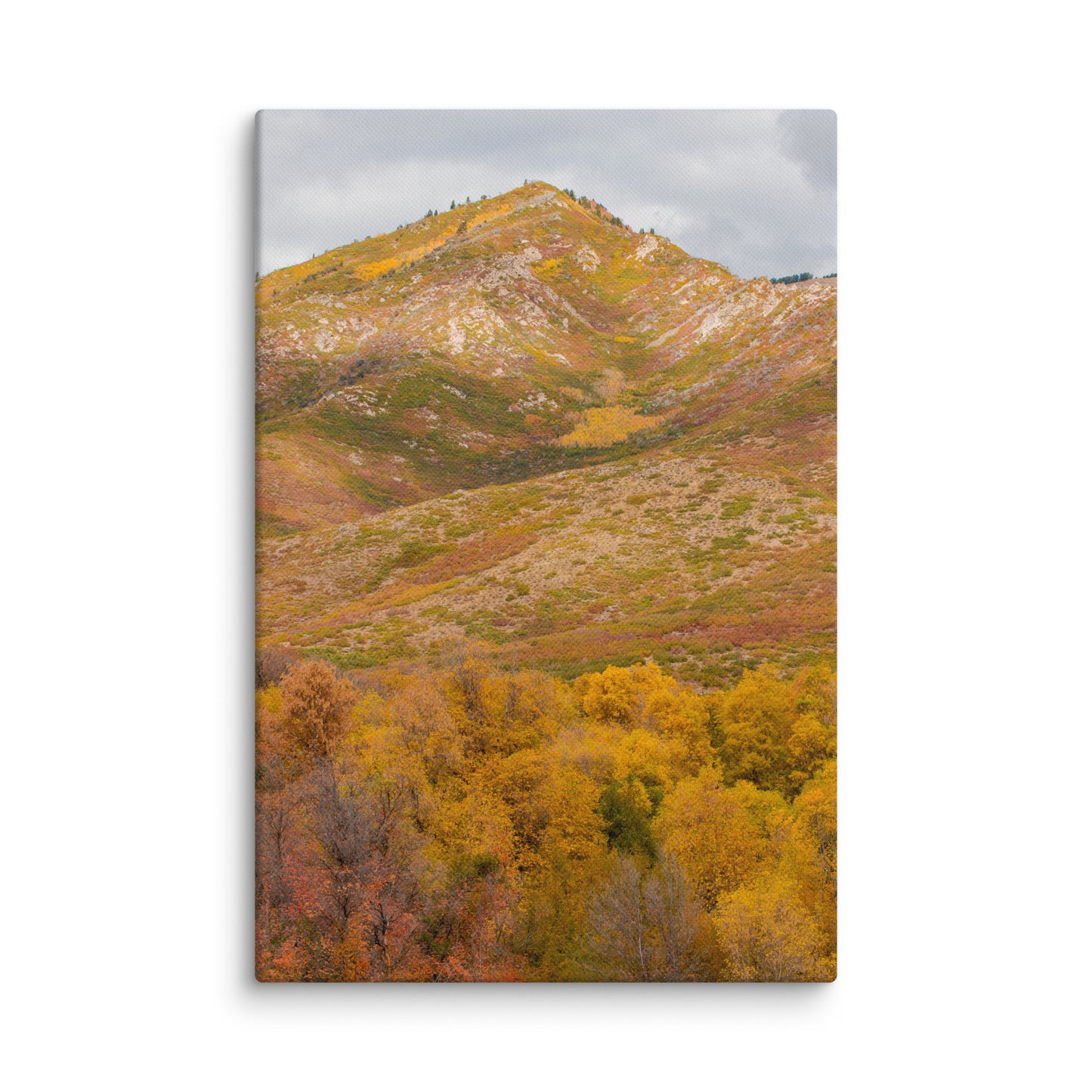 Burning Mountain fall foliage canvas print — BDH Photography