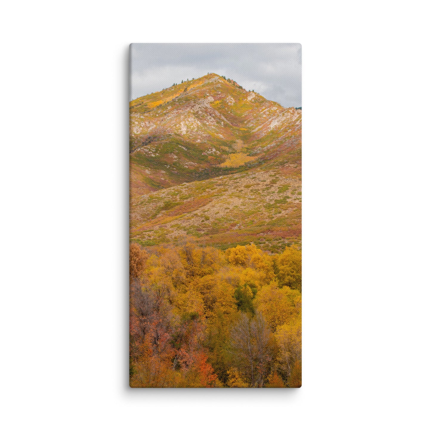Burning Mountain fall foliage canvas print — BDH Photography
