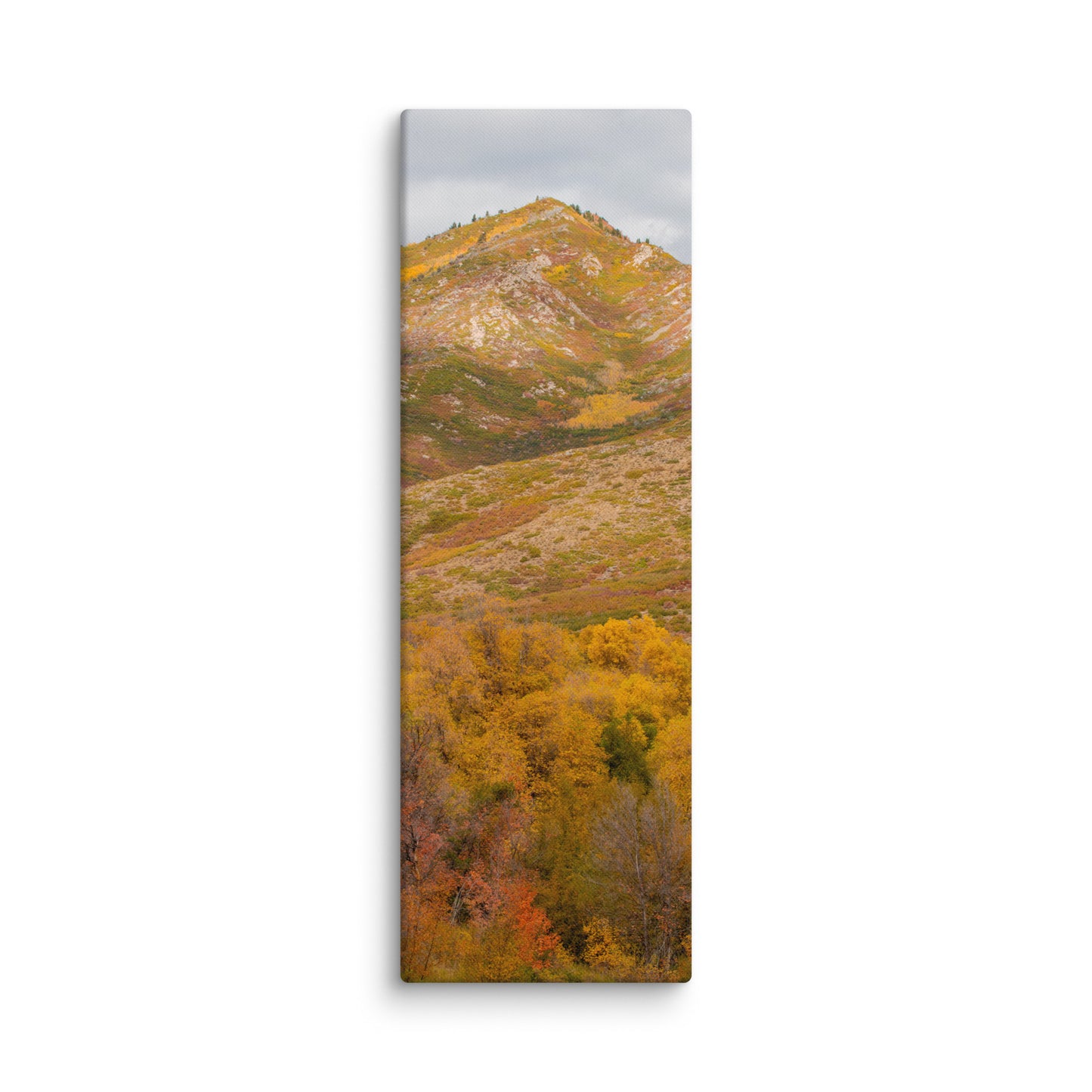 Burning Mountain fall foliage canvas print — BDH Photography