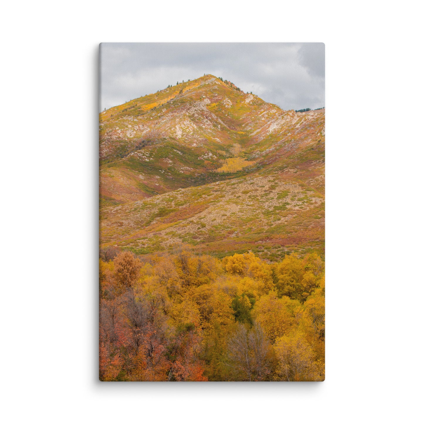 Burning Mountain fall foliage canvas print — BDH Photography