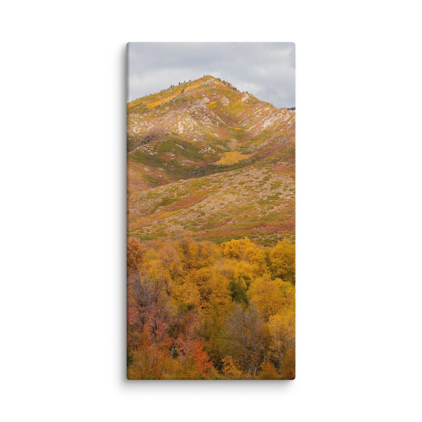 Burning Mountain fall foliage canvas print — BDH Photography