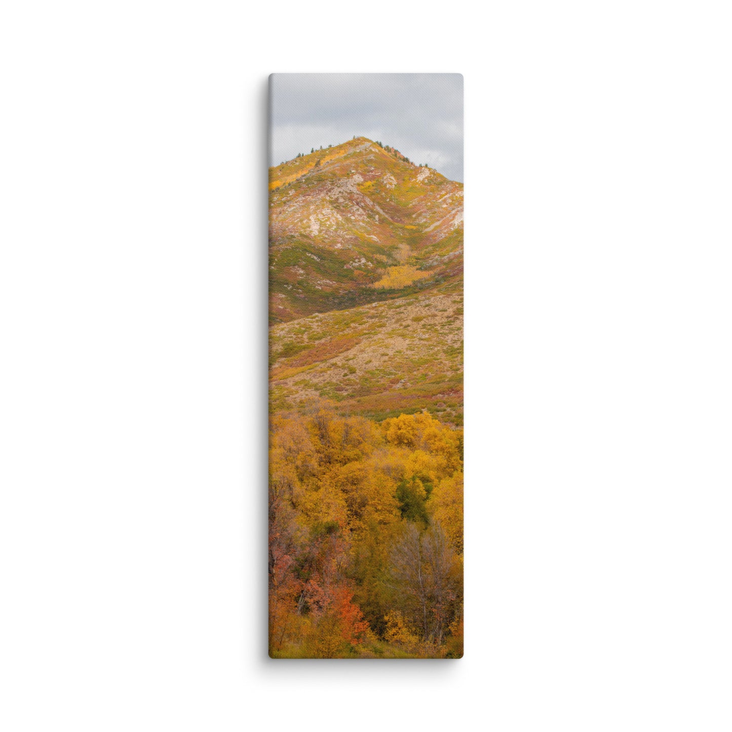 Burning Mountain fall foliage canvas print — BDH Photography
