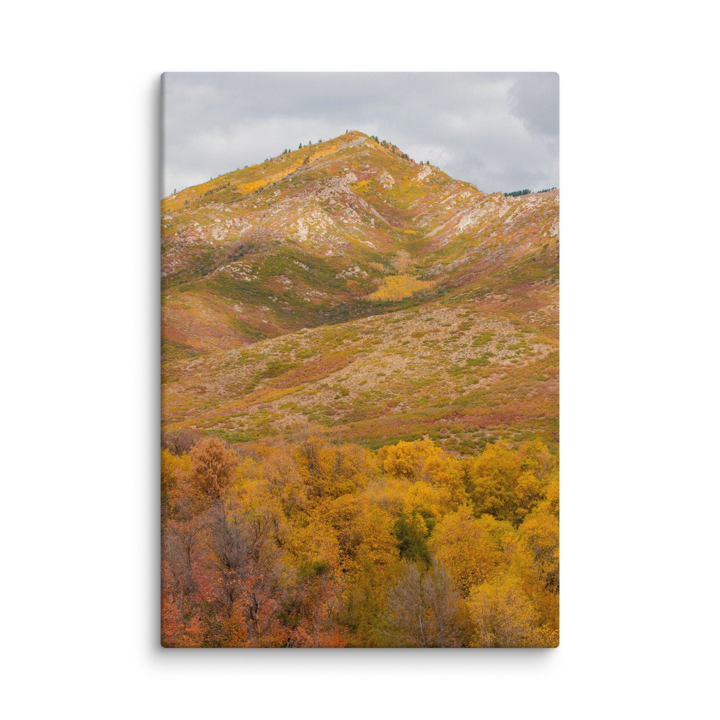 Burning Mountain fall foliage canvas print — BDH Photography