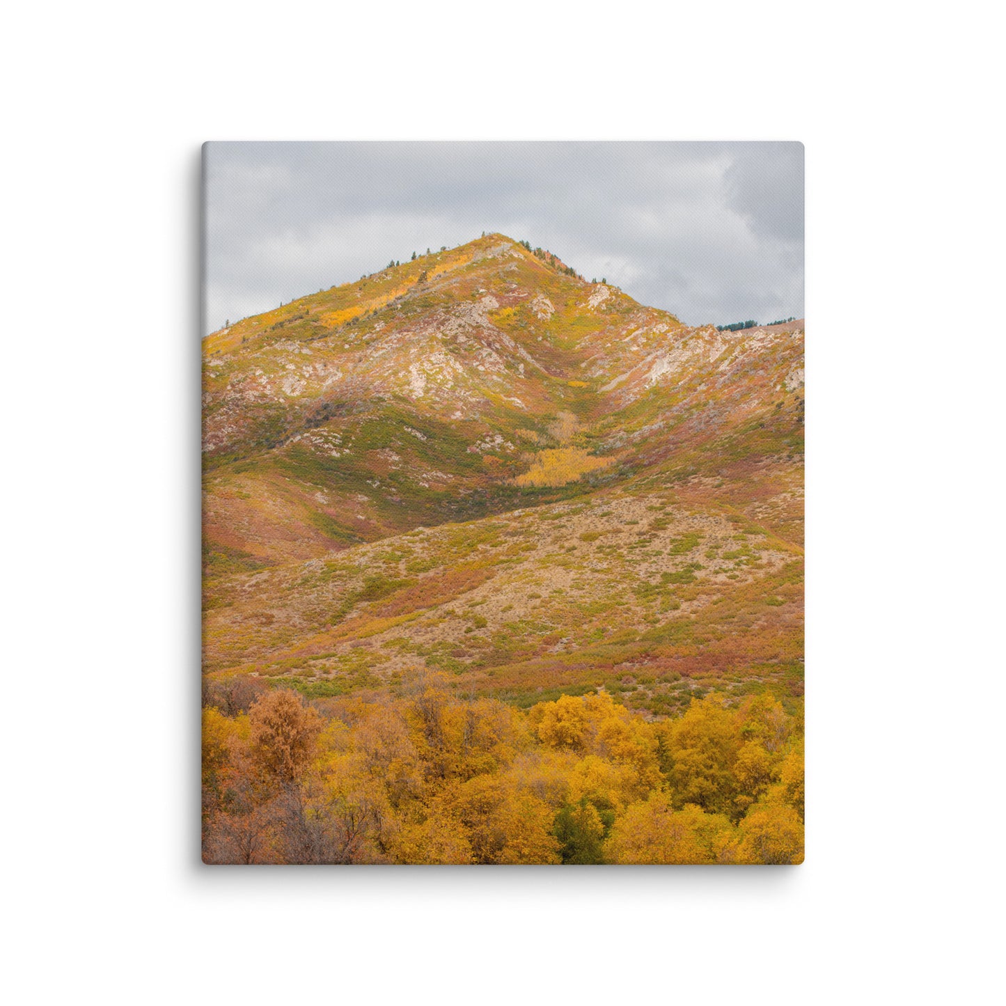 Burning Mountain fall foliage canvas print — BDH Photography