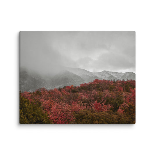 Crimson moody red fall canyon canvas print — BDH Photography